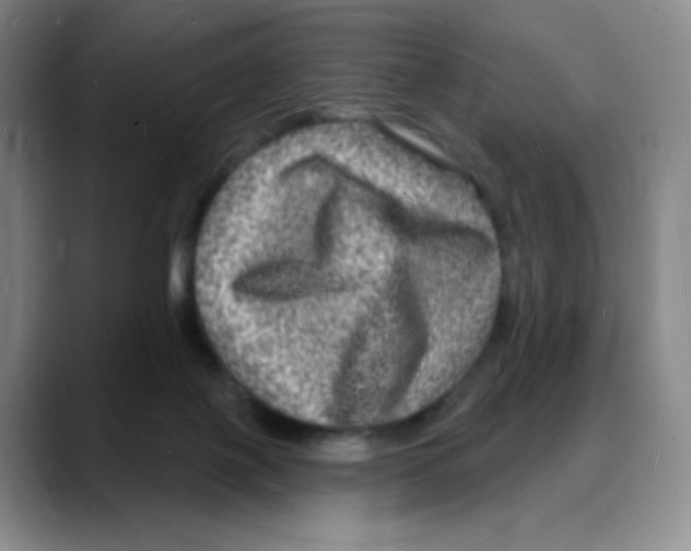 X0000088080075200706081738