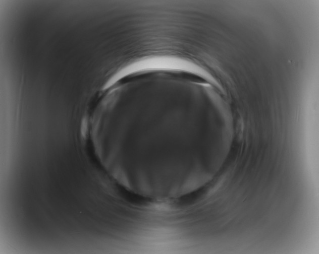 X0000088080076200706081738