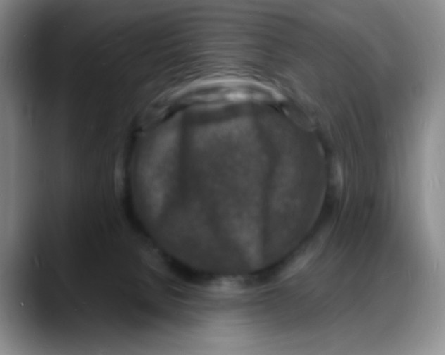 X0000088080080200706081738