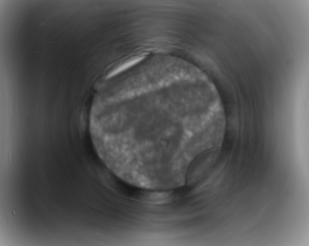 X0000088080081200706081738