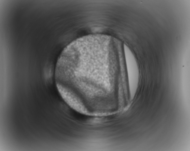 X0000088080082200706081738