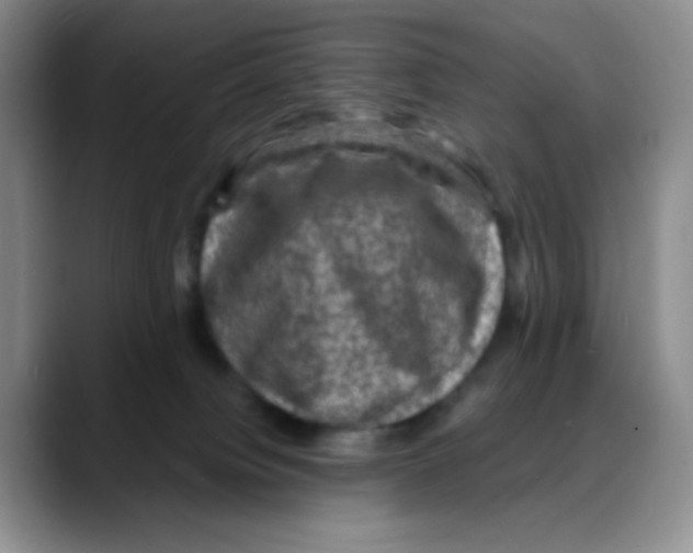 X0000088080084200706081738