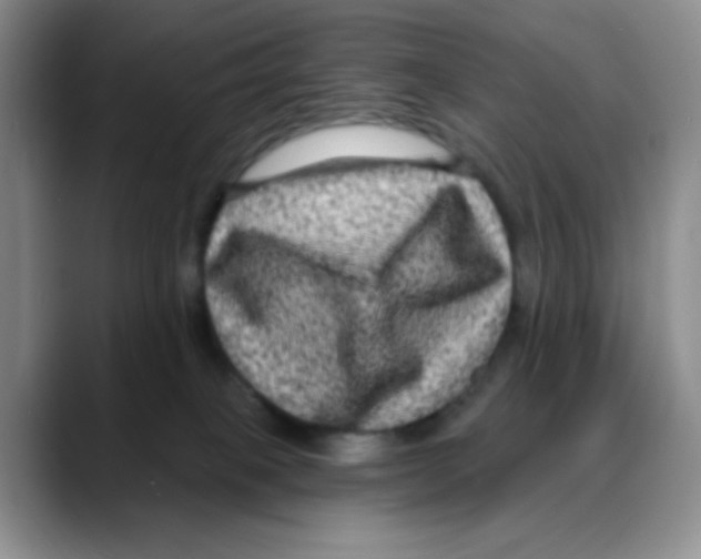 X0000088080085200706081738