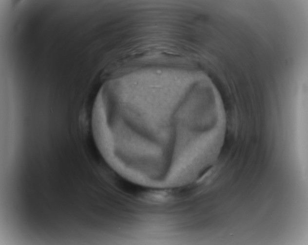 X0000088080086200706081738