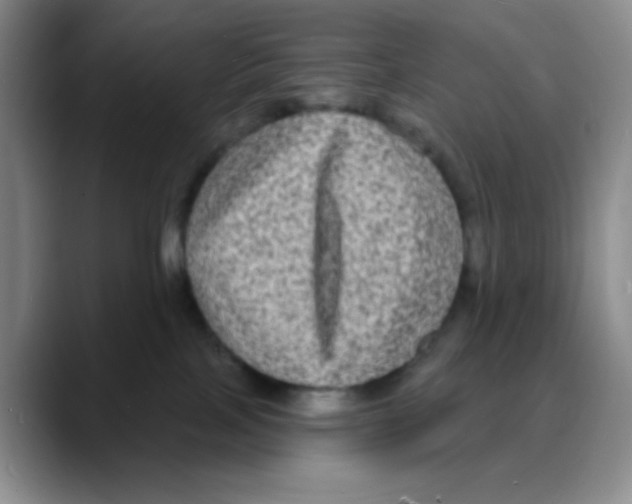 X0000088080089200706081738