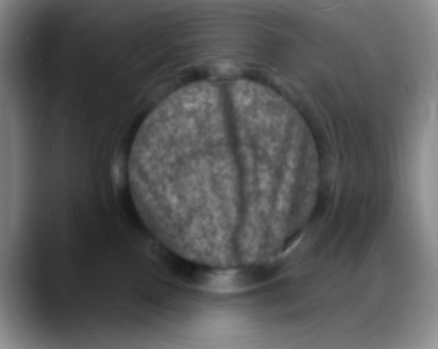 X0000088080090200706081738