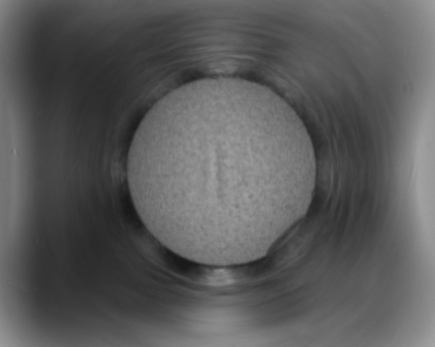 X0000088080091200706081738