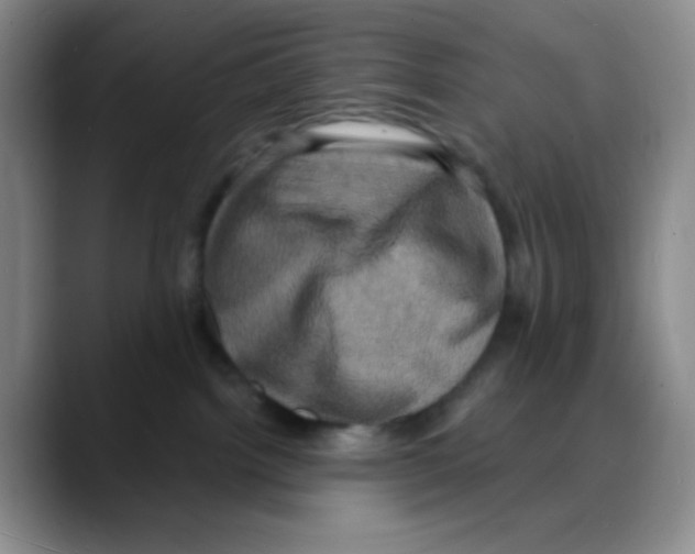 X0000088080092200706081738