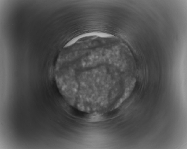 X0000088080093200706081738