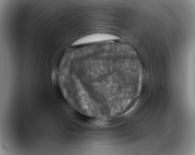 X0000088080094200706081738