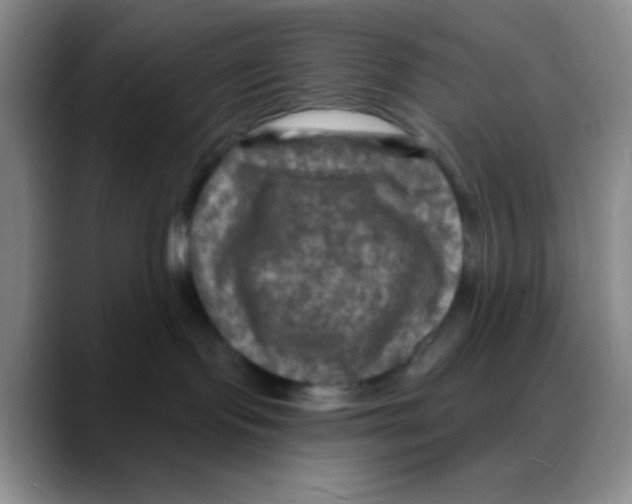 X0000088080095200706081738