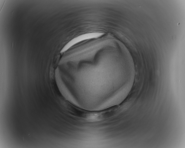 X0000088080096200706081738