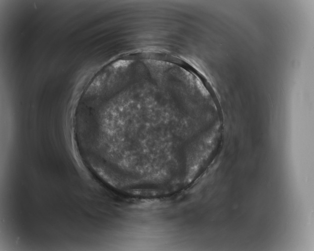 X0000088080097200706081738