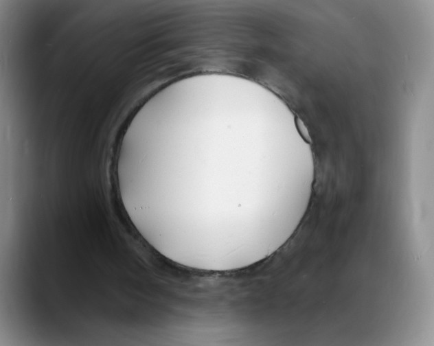 X0000088080098200706081737