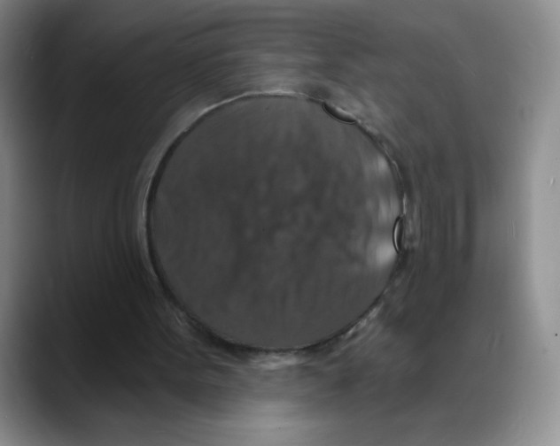 X0000088080099200706081737