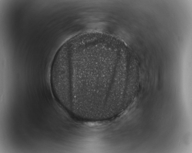 X0000088080100200706081737