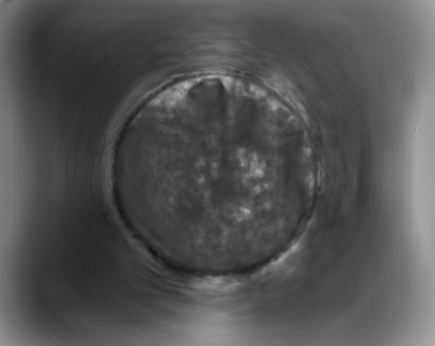 X0000088080101200706081737