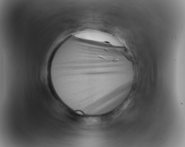 X0000088080102200706081737