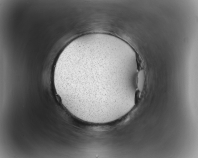 X0000088080103200706081737