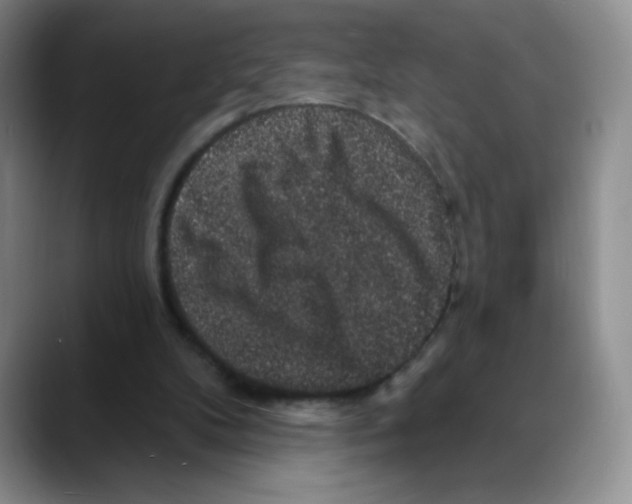 X0000088080104200706081737