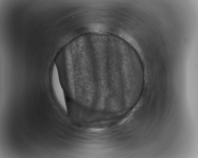 X0000088080105200706081737