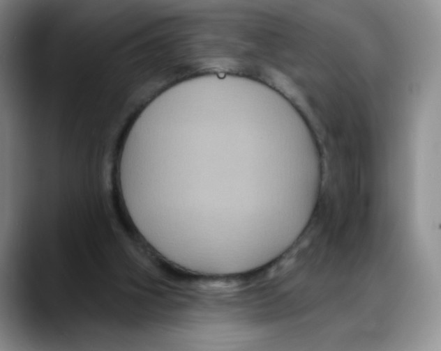 X0000088080106200706081737