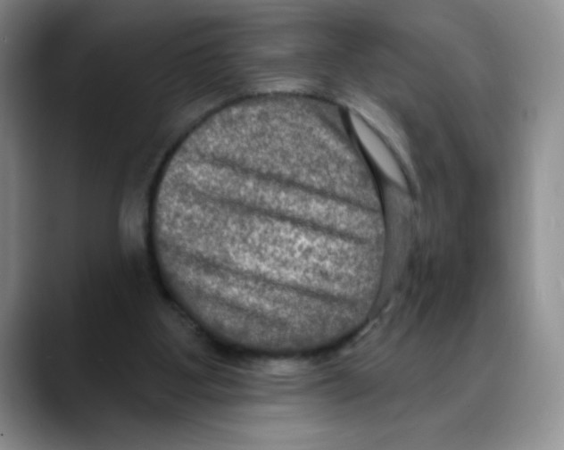 X0000088080107200706081737