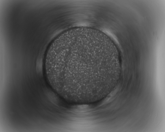 X0000088080108200706081737