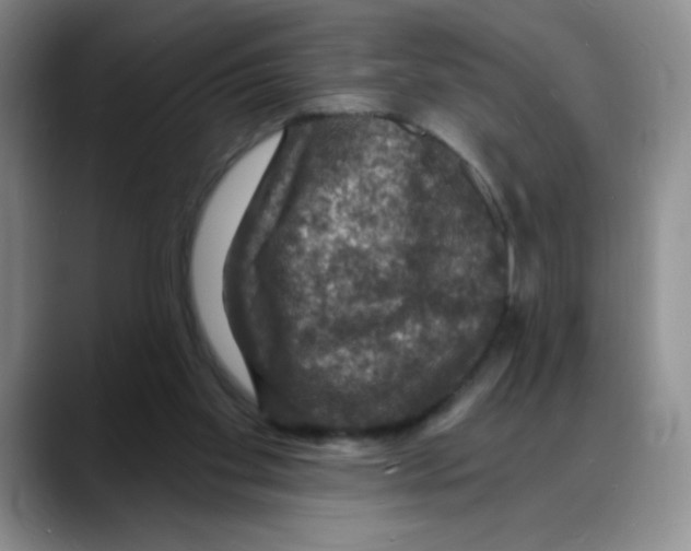 X0000088080109200706081737