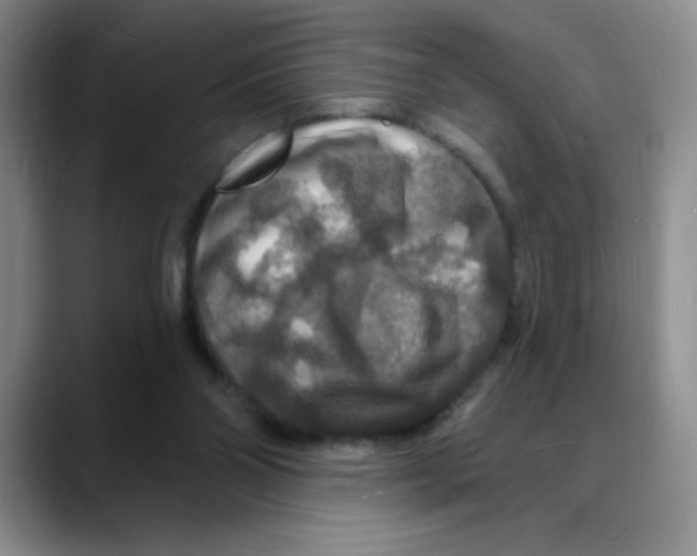 X0000088080110200706081737