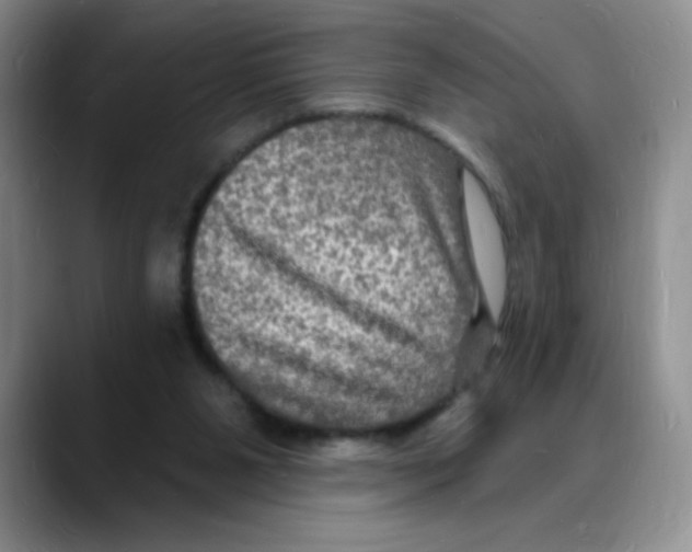 X0000088080111200706081737