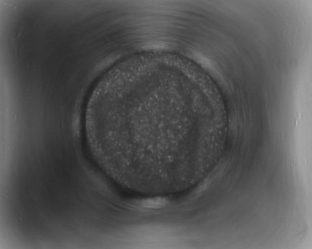 X0000088080112200706081737