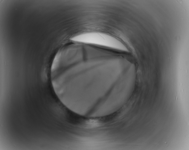 X0000088080114200706081737