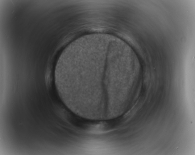 X0000088080116200706081737