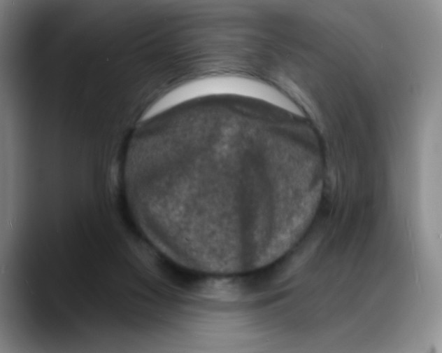 X0000088080117200706081737