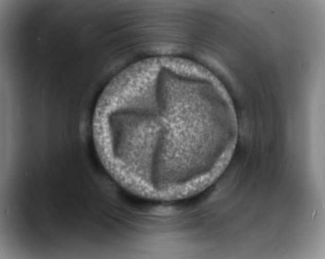 X0000088080119200706081737