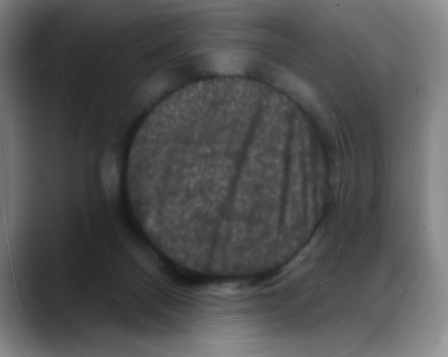 X0000088080120200706081737