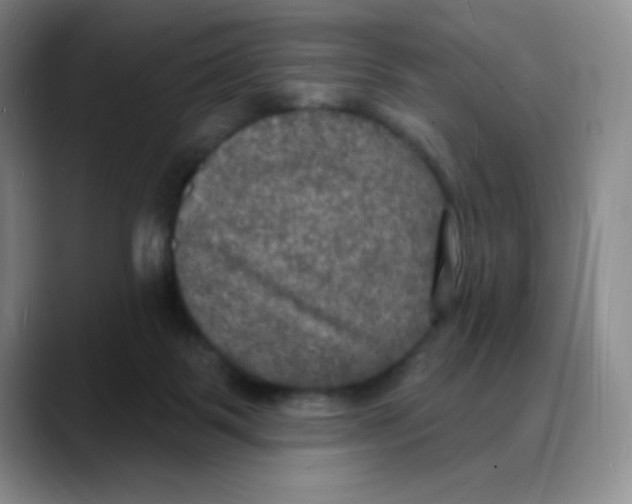 X0000088080123200706081737