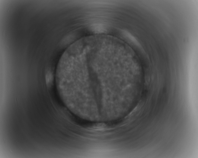 X0000088080124200706081737