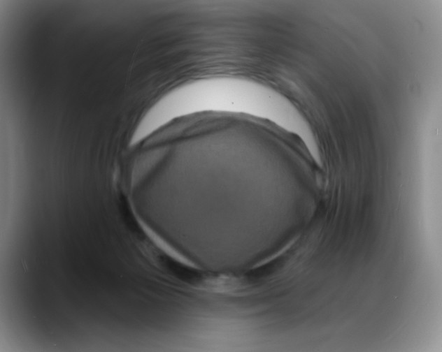 X0000088080125200706081737