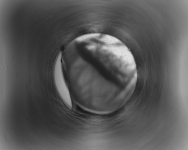 X0000088080127200706081737