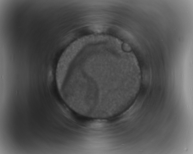 X0000088080128200706081737