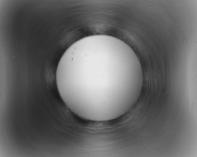 X0000088080129200706081737