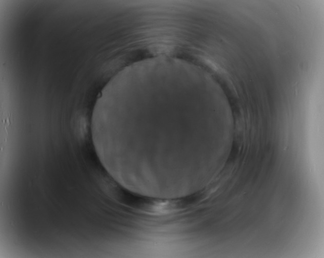 X0000088080130200706081737