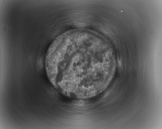 X0000088080131200706081737