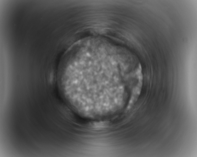 X0000088080134200706081737