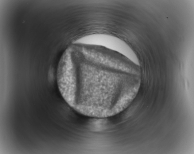 X0000088080135200706081737