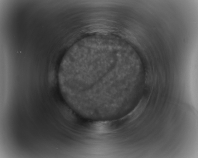 X0000088080136200706081737