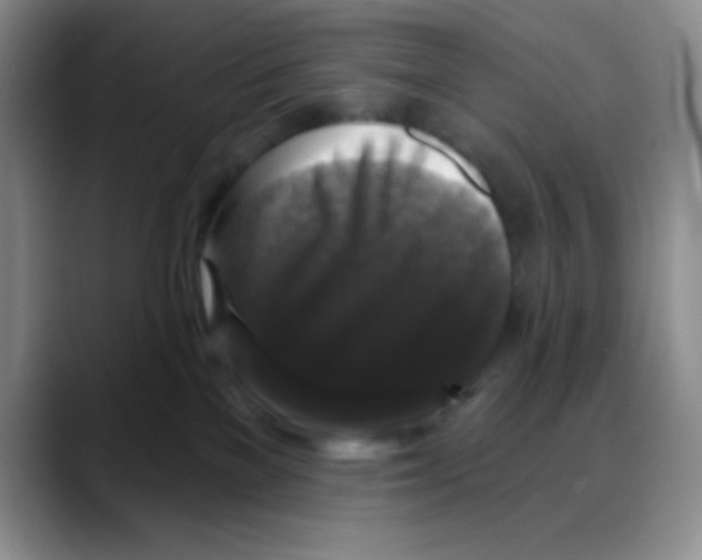 X0000088080137200706081737