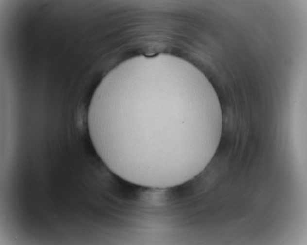 X0000088080138200706081737